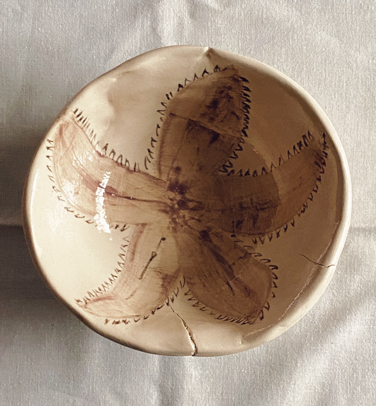 Bowl Arteaqua
