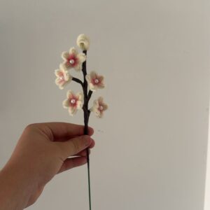 Extra Ramita Sakura
