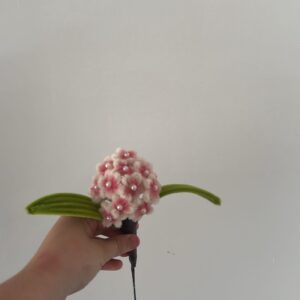 Elora Hortensia Bloom