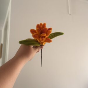 Tropical Dalia