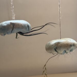 Maceteros colgantes